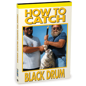 Bennett DVD - How To Catch Black Drum & Fishing 101 f/Beginners
